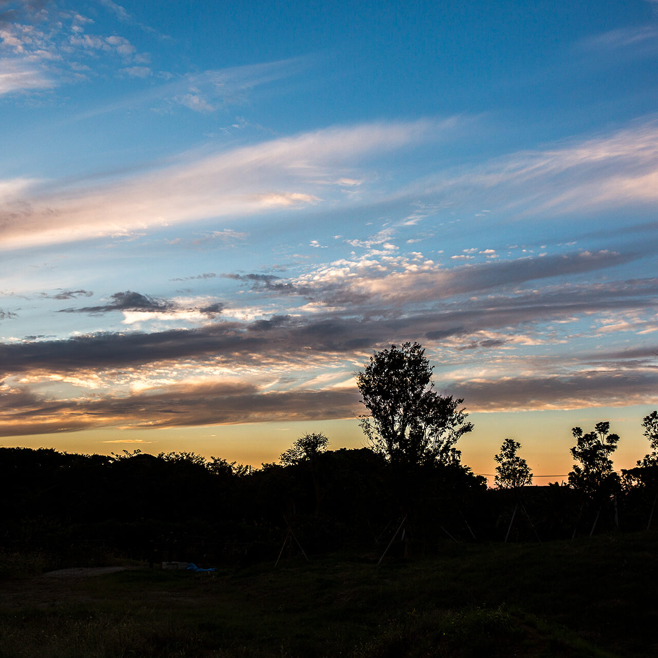 Cairns House-夕景-